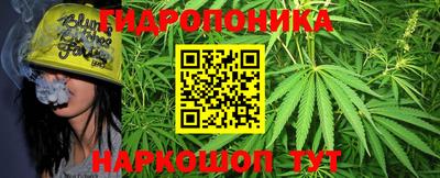 скорость Краснознаменск