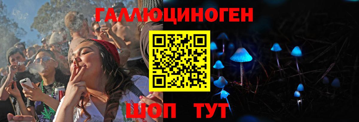 Камень-на-Оби  Псилоцибиновые грибы Psilocybe  Вход с VPN 